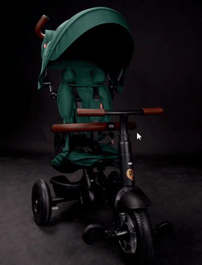 All You Need to Know About the 2023 Upgraded Rito Foldable Trike